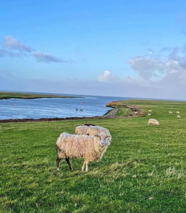 Charmerende Bolig Naer Domkirken Ribe Exteriér fotografie