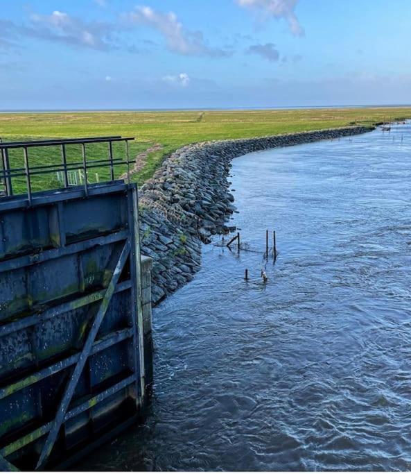 Charmerende Bolig Naer Domkirken Ribe Exteriér fotografie