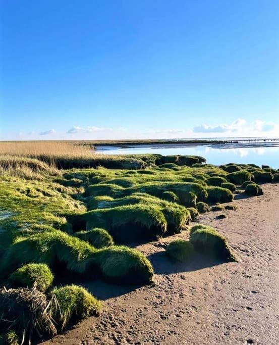 Charmerende Bolig Naer Domkirken Ribe Exteriér fotografie